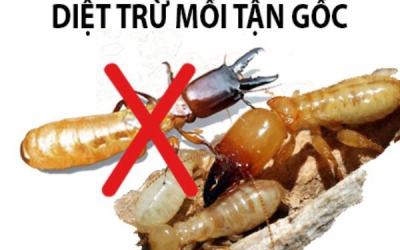 KIỂM SOÁT MỐI