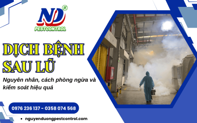 Dịch bệnh sau lũ - Nguyên nhân và cách phòng ngừa, kiểm soát hiệu quả