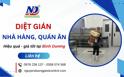 Diệt gián nhà hàng, quán ăn tại Bình Dương hiệu quả, giá tốt